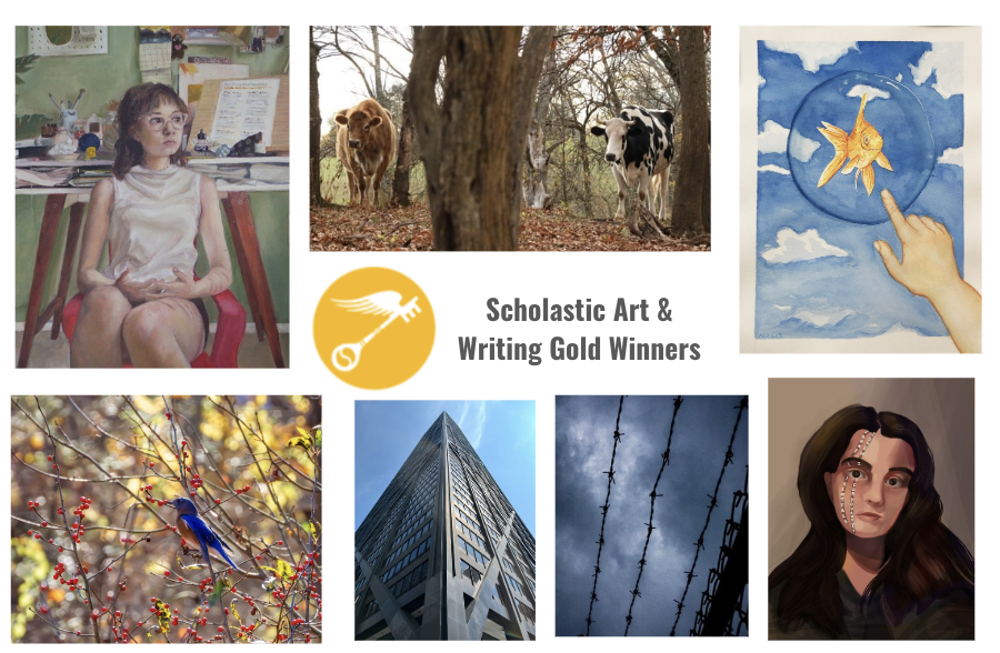 Scholastic Art Contest - Gold